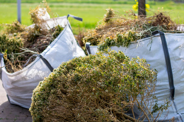Best Furniture Removal  in Mililani Mauka, HI